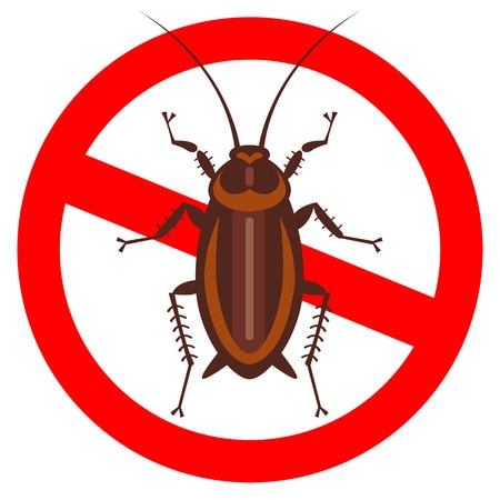 Cockroach extermination Newcastle