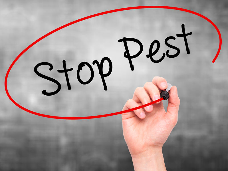Stop Pests Now