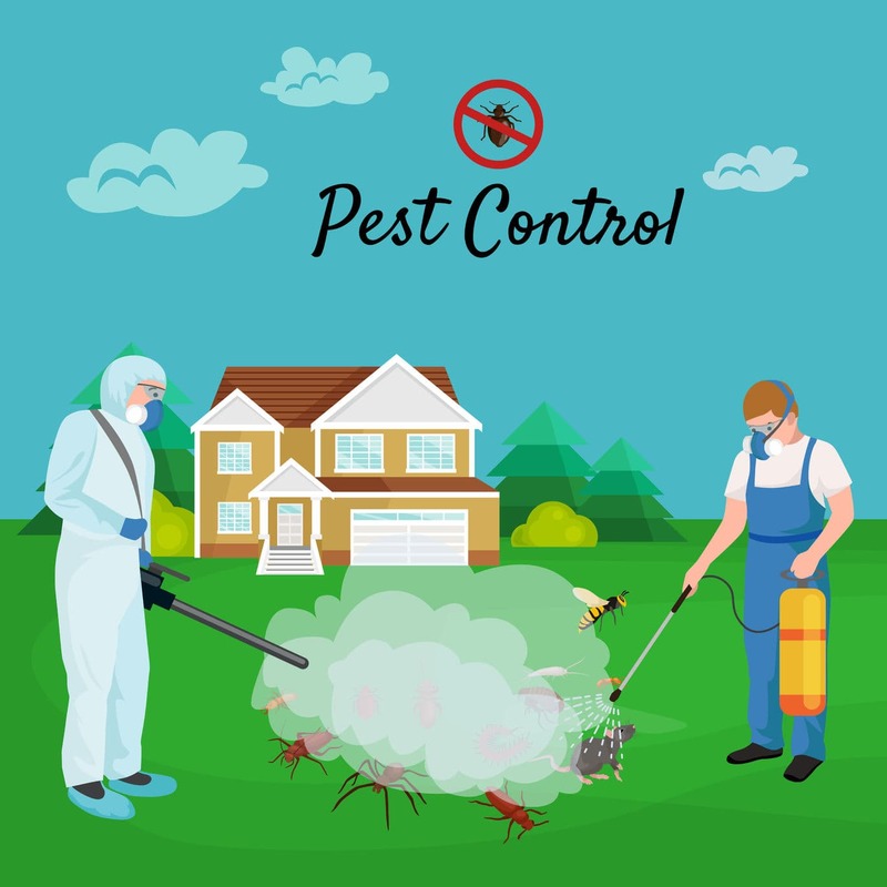 Proffesional and efficient service for all types of pest problems