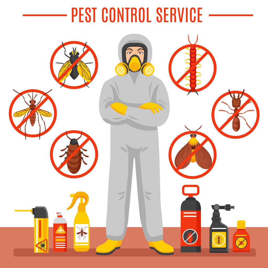 We fight to eradicate all types of insect pest